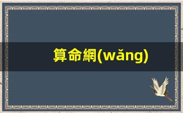 算命網(wǎng) 生辰八字(算命網(wǎng)生辰八字2024年運(yùn)勢(shì))